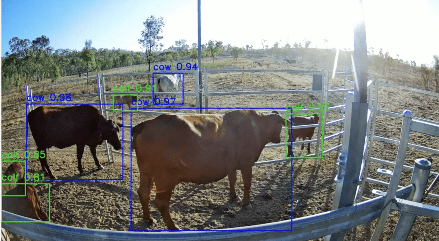 AI-Powered Wildlife Conflict Monitoring