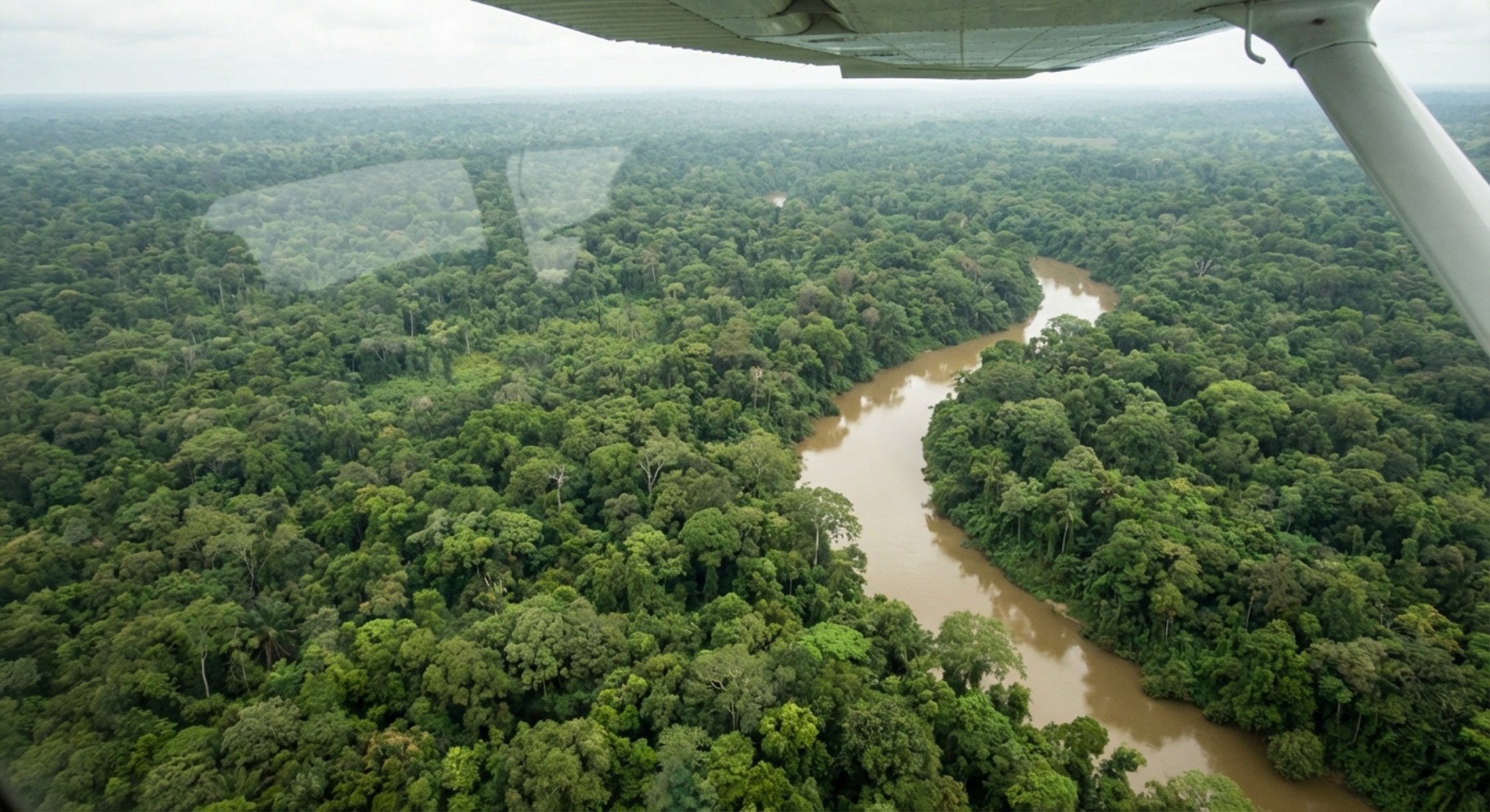 Automated Carbon Compliance Engine